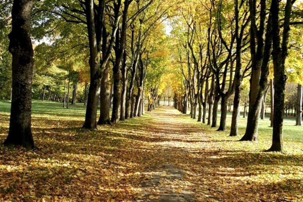 Central, Calme, Proche Chateau Et Insead * Fontainebleau